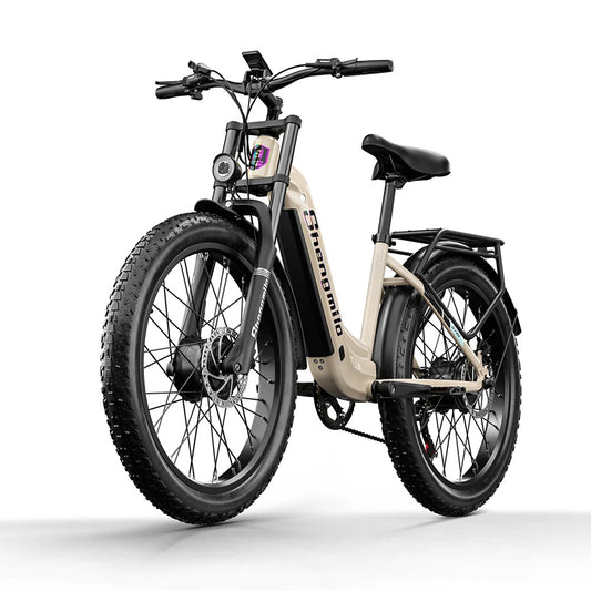Damen Ebike mit Vorderradfederung und Doppel-Motor