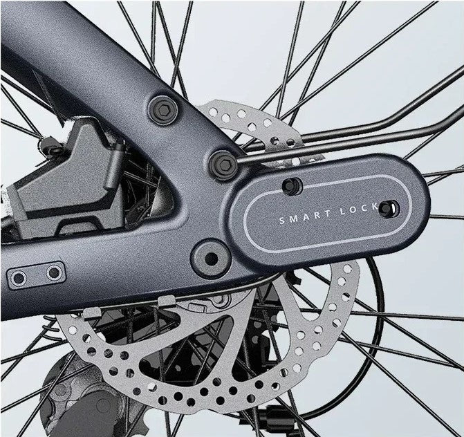 Smart E-Bike