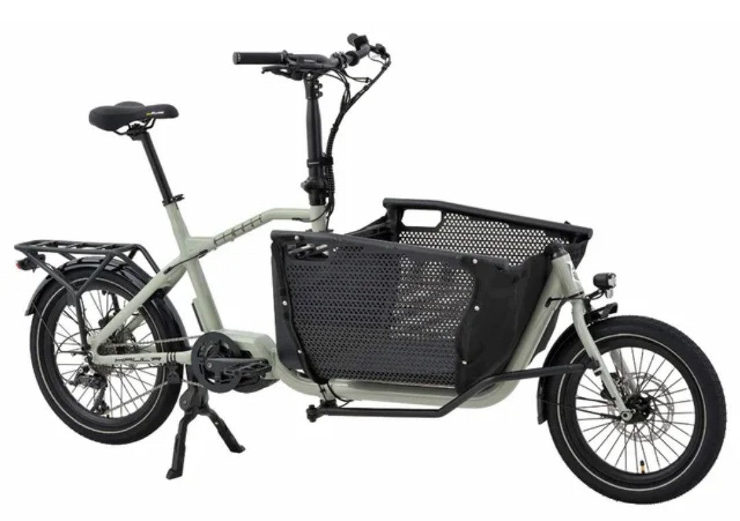 E-Lastenrad